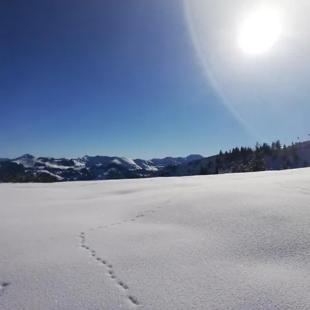 Holzfaellerhaus Melkstatt Auffach