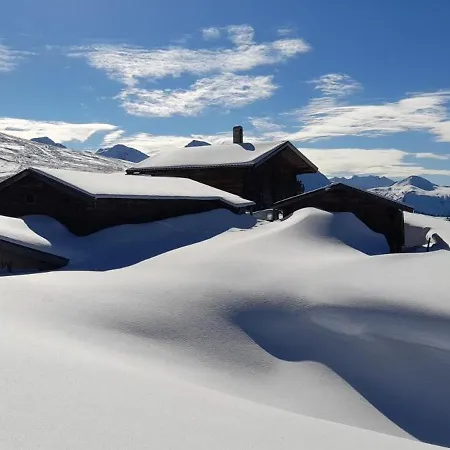 Hébergement de vacances Holzfaellerhaus Melkstatt Auffach