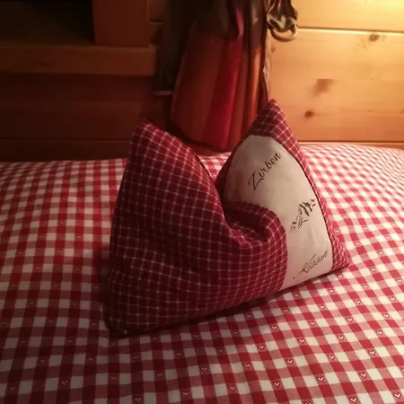 Holzfaellerhaus Melkstatt Auffach