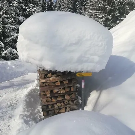 Holzfaellerhaus Melkstatt * Auffach