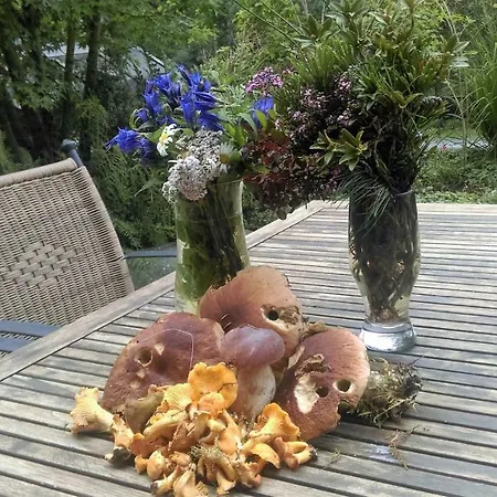 Dom wakacyjny Holzfaellerhaus Melkstatt Auffach