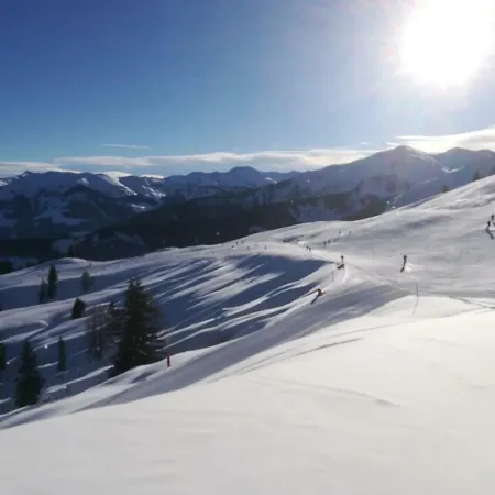 Dom wakacyjny Holzfaellerhaus Melkstatt *