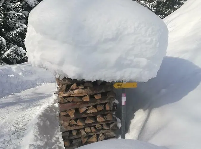 Holzfällerhaus Melkstatt * Auffach