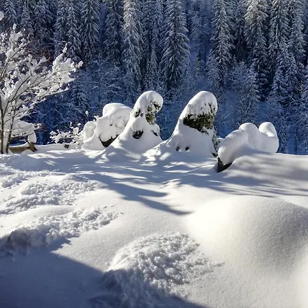 Holzfaellerhaus Melkstatt Дом отдыха Ауффах