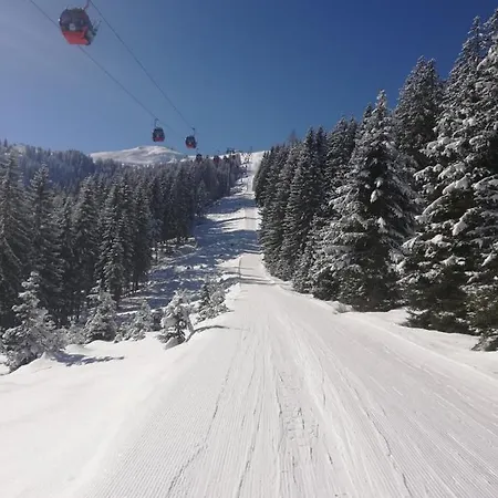 Holzfaellerhaus Melkstatt Ауффах