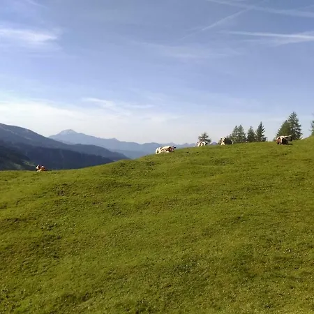 Holzfaellerhaus Melkstatt *