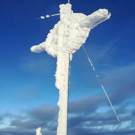 Holzfaellerhaus Melkstatt * Ауффах