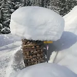 Holzfaellerhaus Melkstatt * Auffach