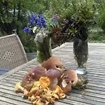 Сasa de vacaciones Holzfaellerhaus Melkstatt Auffach