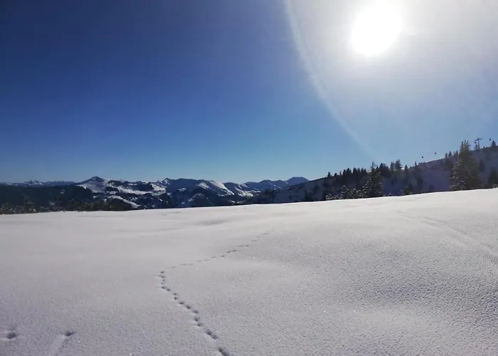 Holzfaellerhaus Melkstatt 奥法赫